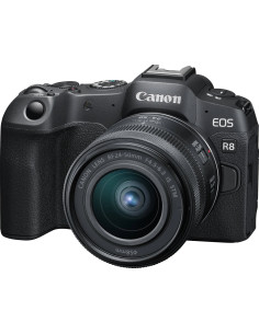 EOS R8 + RF 24-50mm f/4.5-6.3 IS STM 2